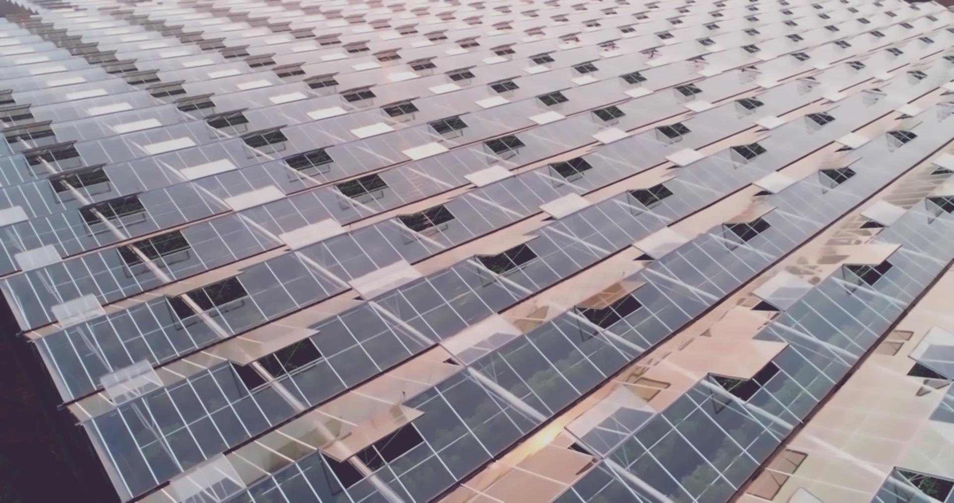 Vue d'ensemble de l'environnement d'apprentissage en ligne