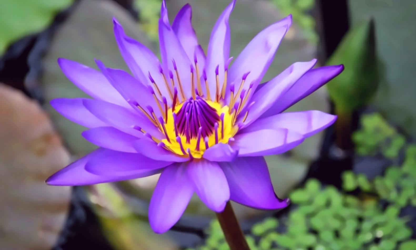 Vue d'ensemble de nos installations de formation en contrôle de pollution